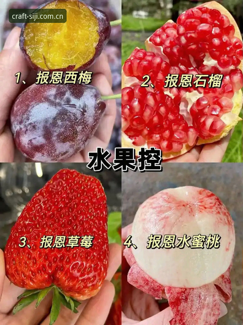 四季零食官网无法下载的实用解决指南：资深用户必备的5个排查技巧